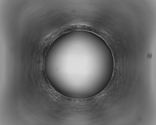 X0000089721014200706210849
