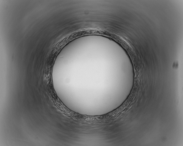 X0000089721015200706210849