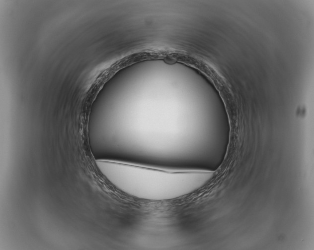 X0000089721016200706210849