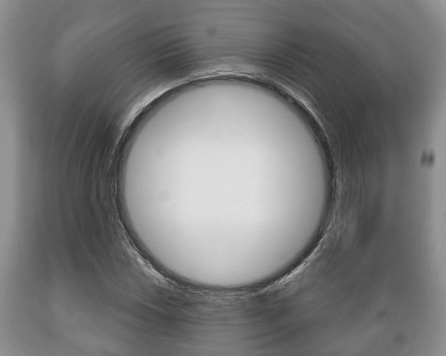 X0000089721018200706210849