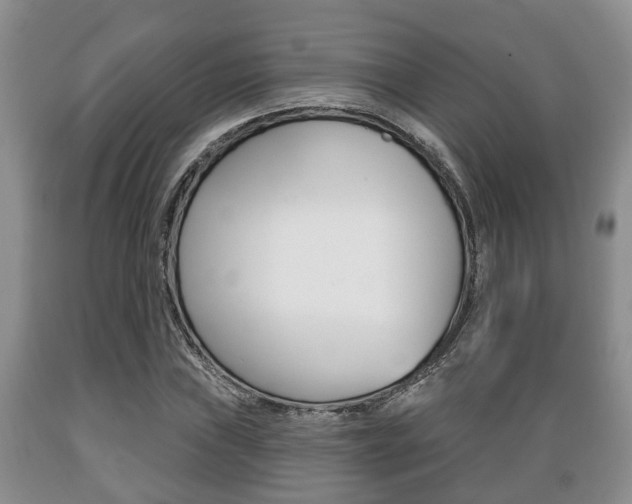 X0000089721019200706210849