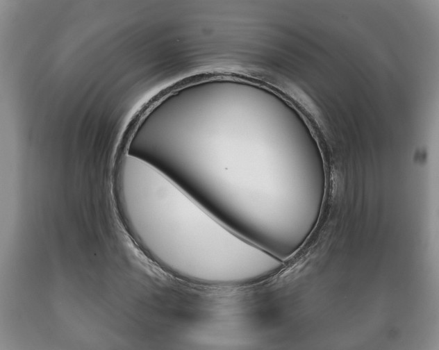 X0000089721020200706210849