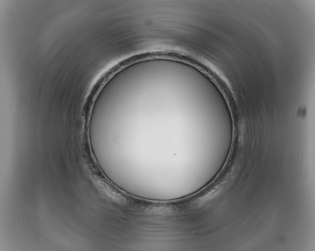 X0000089721021200706210849