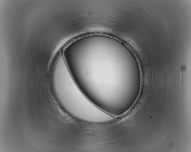 X0000089721022200706210849