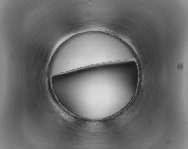 X0000089721024200706210849