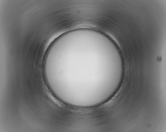 X0000089721026200706210849