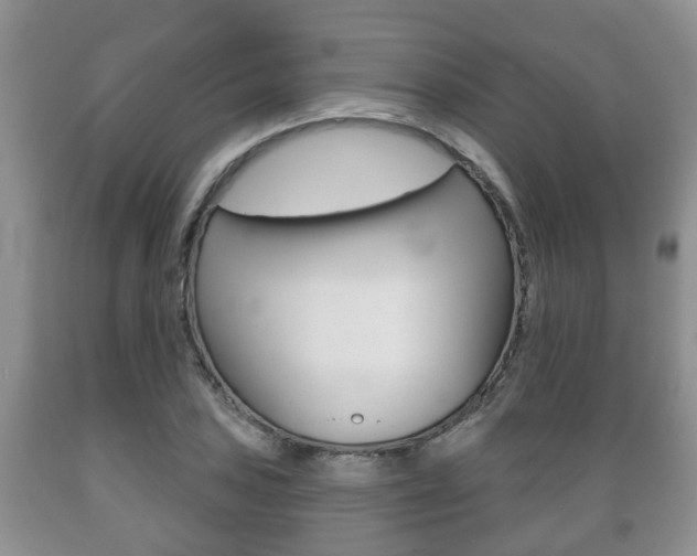 X0000089721027200706210849