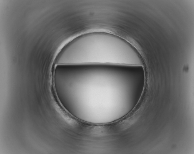 X0000089721028200706210849