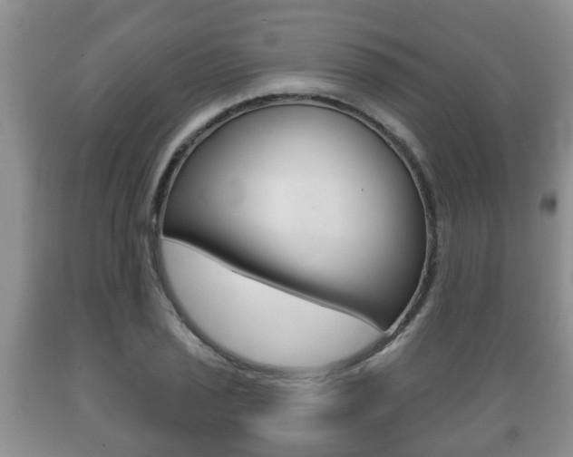 X0000089721029200706210849