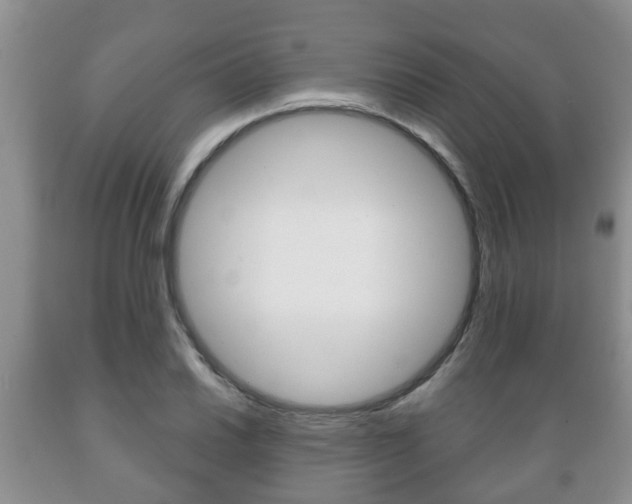 X0000089721030200706210849