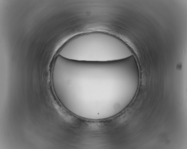 X0000089721031200706210849