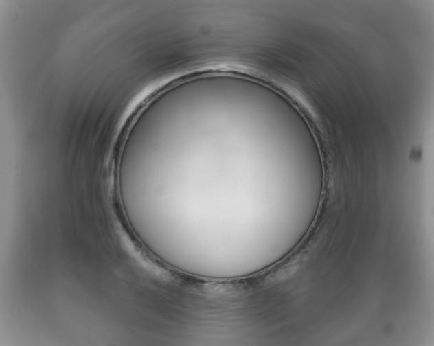 X0000089721032200706210849