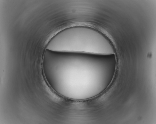 X0000089721033200706210849