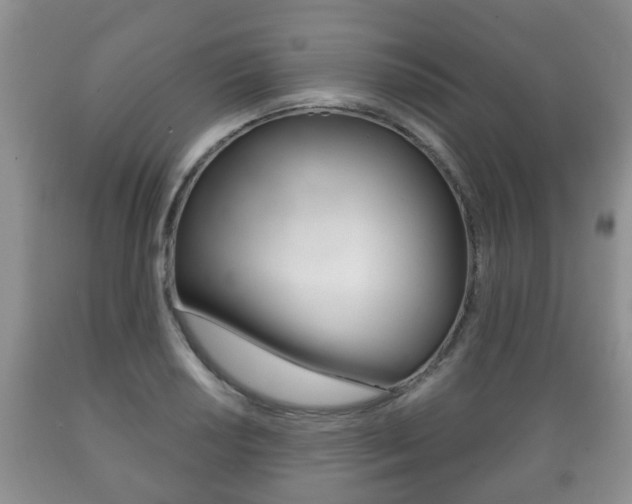 X0000089721034200706210849