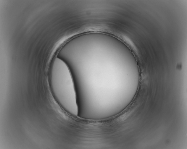 X0000089721035200706210849