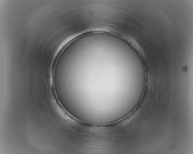 X0000089721036200706210849