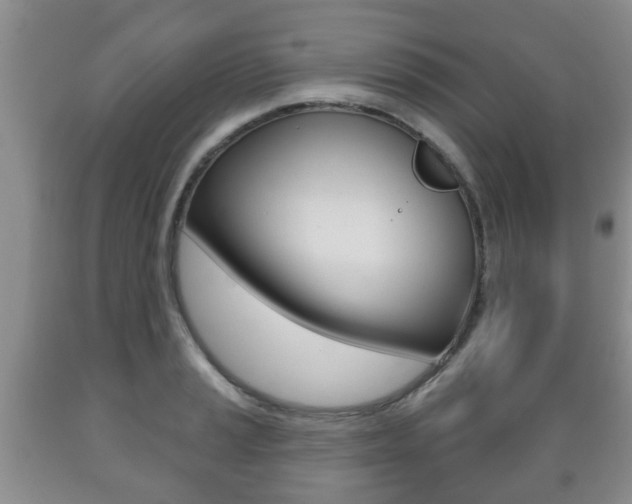 X0000089721037200706210849