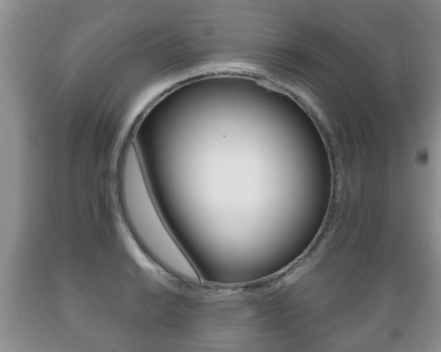 X0000089721038200706210849