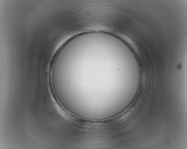 X0000089721039200706210849