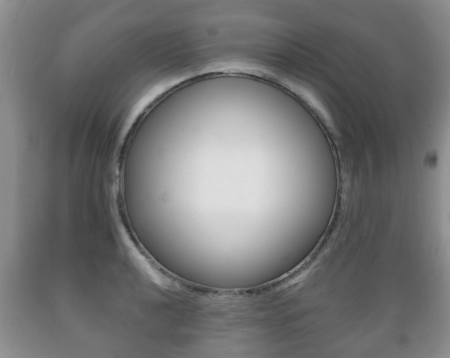 X0000089721040200706210849