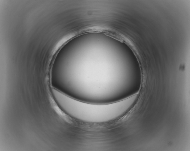 X0000089721042200706210849