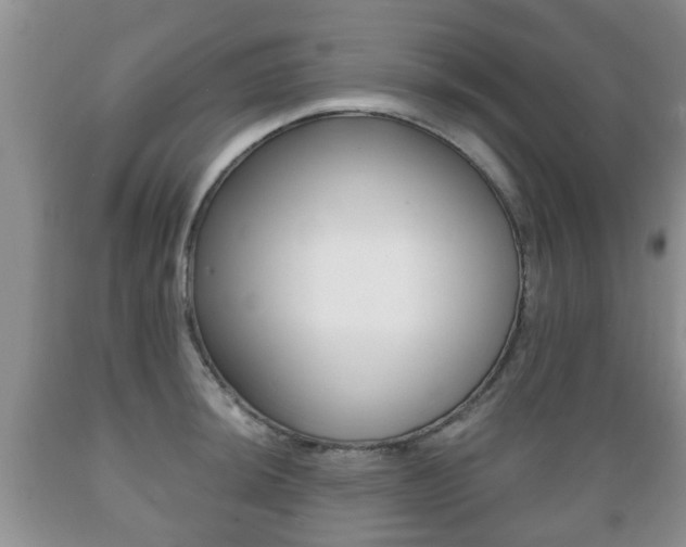 X0000089721044200706210849