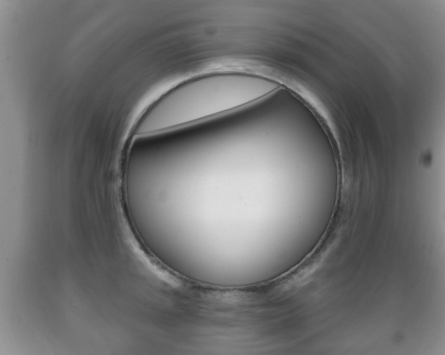 X0000089721045200706210849