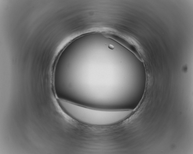 X0000089721046200706210849