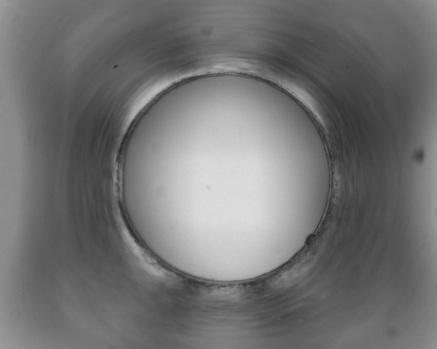 X0000089721047200706210849