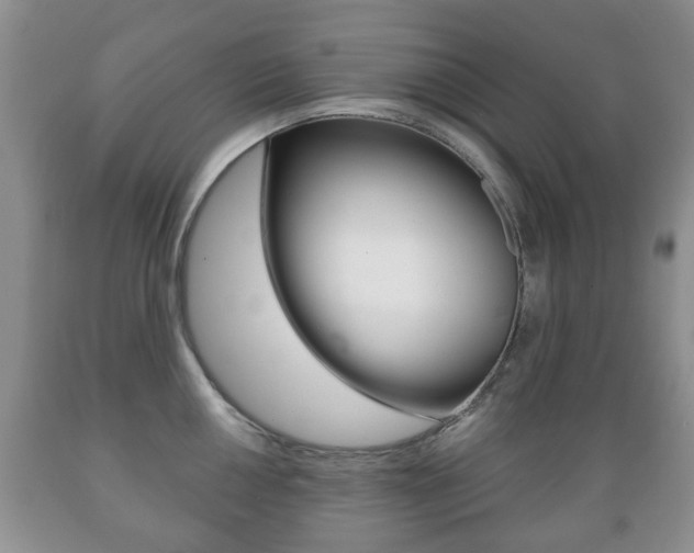 X0000089721050200706210849