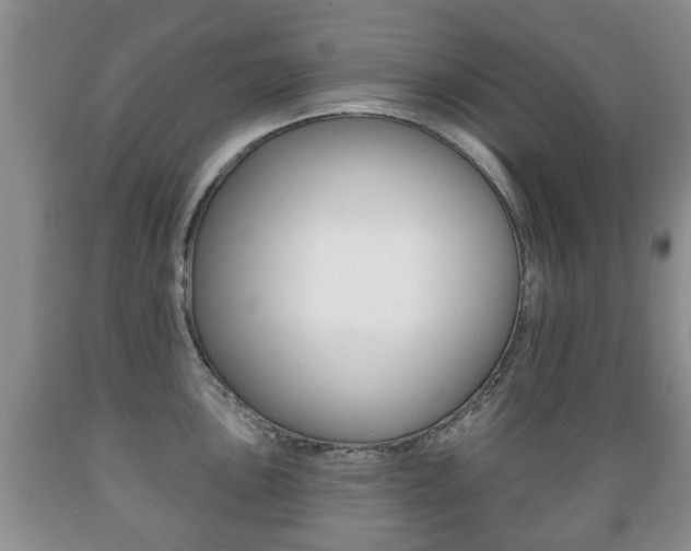 X0000089721051200706210849