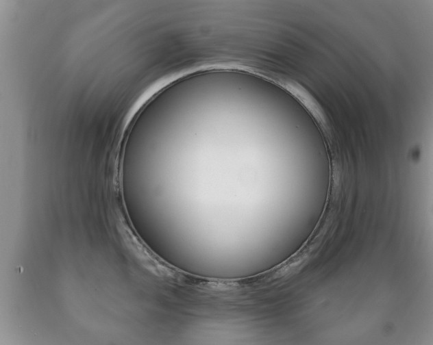 X0000089721052200706210849