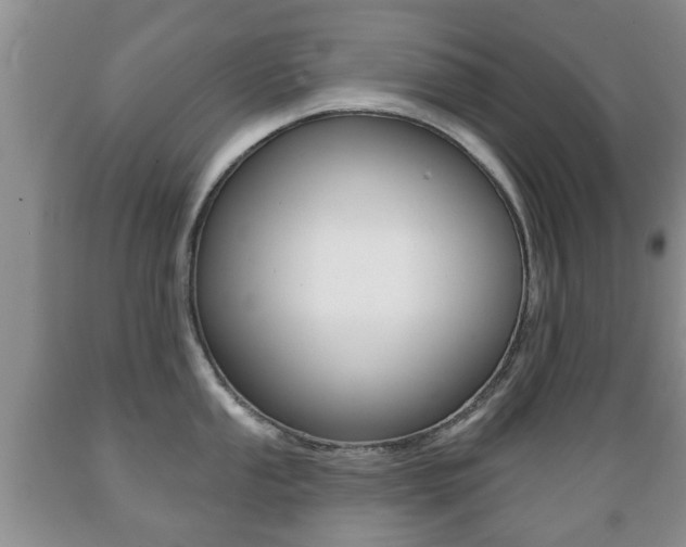 X0000089721053200706210849
