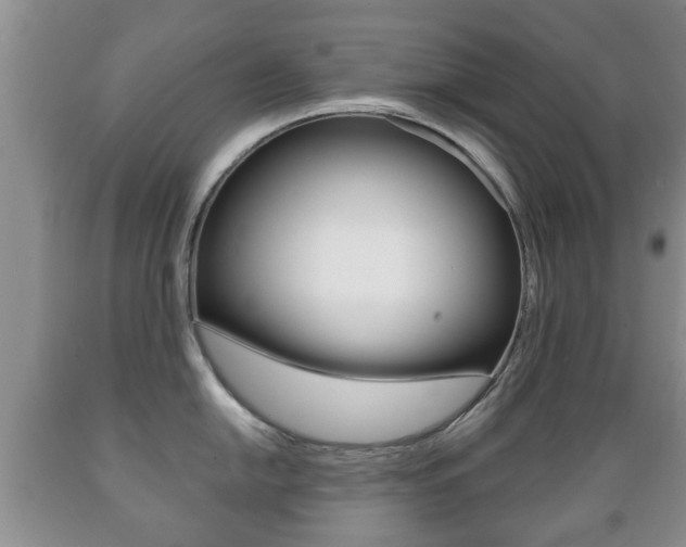 X0000089721054200706210849