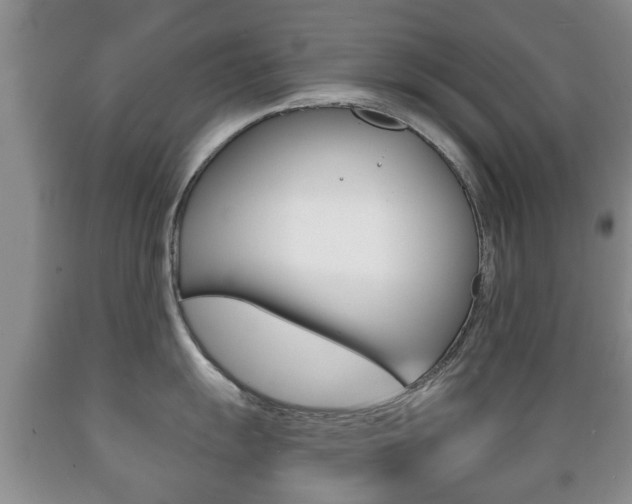 X0000089721055200706210849