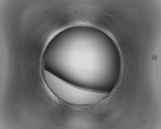 X0000089721056200706210849