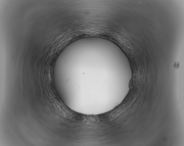 X0000089721058200706210849