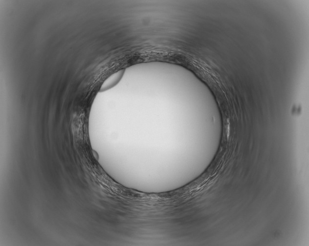X0000089721059200706210849