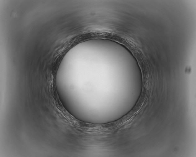 X0000089721061200706210849