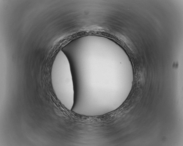 X0000089721063200706210849