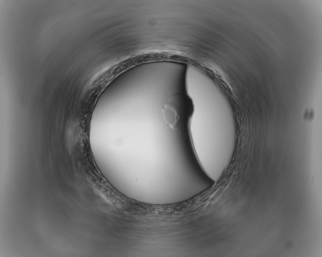 X0000089721064200706210849