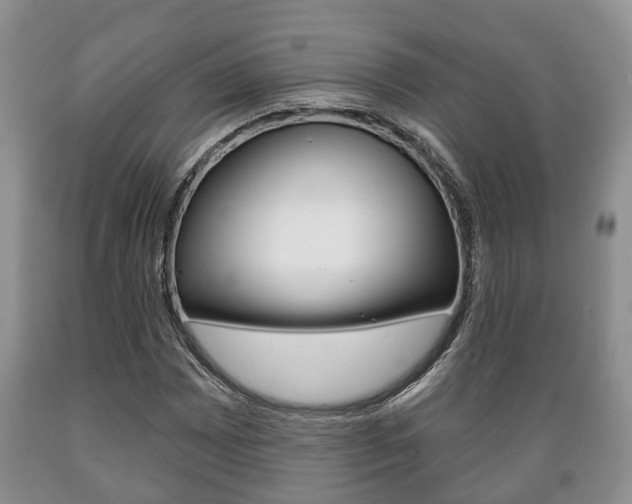 X0000089721065200706210848