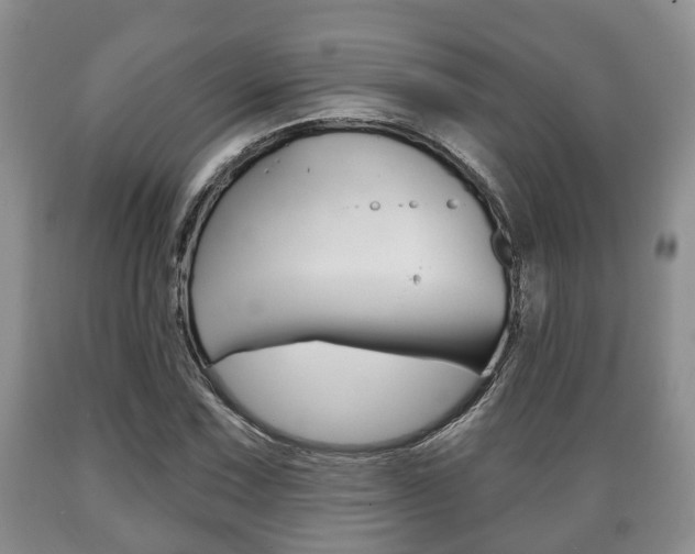 X0000089721067200706210848