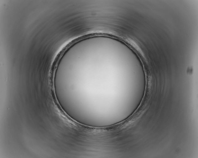 X0000089721068200706210848