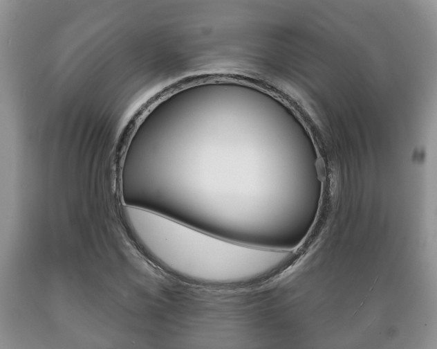 X0000089721069200706210848