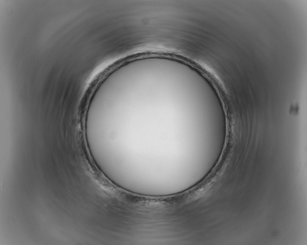 X0000089721070200706210848