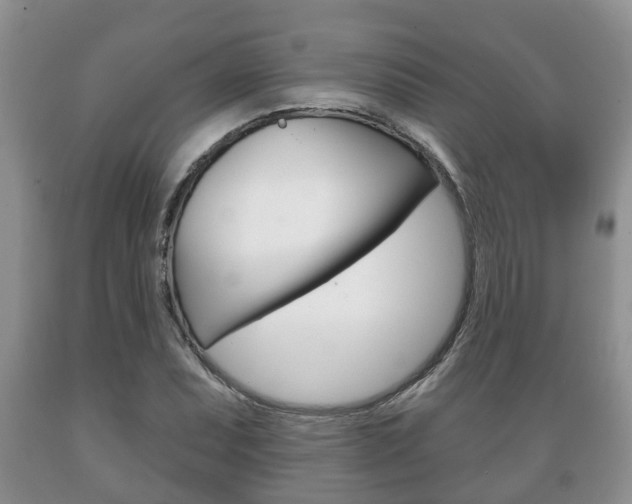X0000089721071200706210848