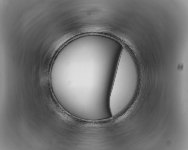 X0000089721073200706210848