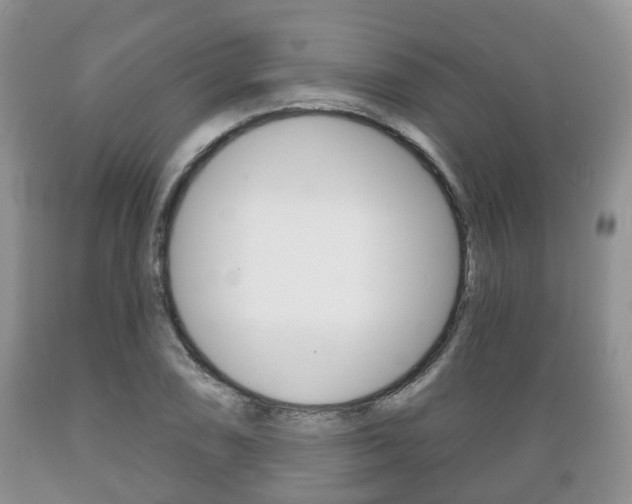 X0000089721074200706210848