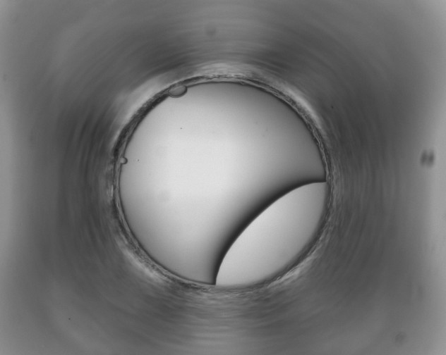 X0000089721075200706210848